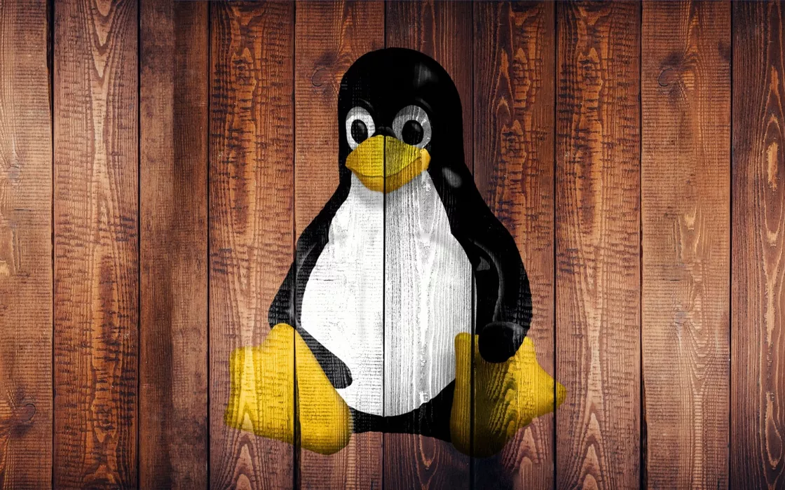 Backdoor Rekoobe: un grande pericolo per i sistemi Linux