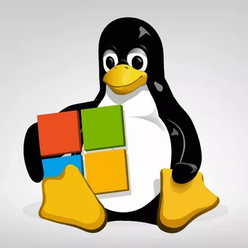 Eseguire applicazioni Windows dall'ambiente Linux di WSL2