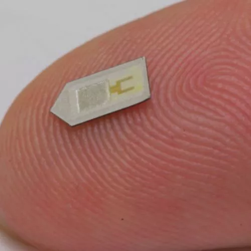 Chip in silicio impiantato nel cervello diventa realtà
