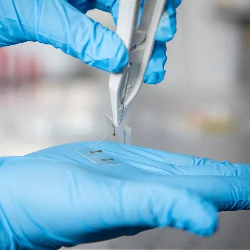 Presentato uno schermo flessibile ultrasottile stampabile come un foglio di carta