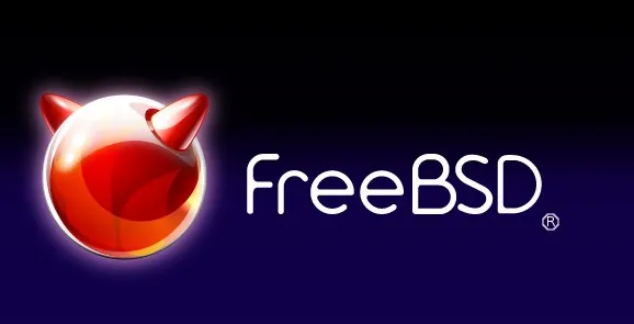 Un dirigente FreeBSD prova a usare FreeBSD ogni giorno su laptop