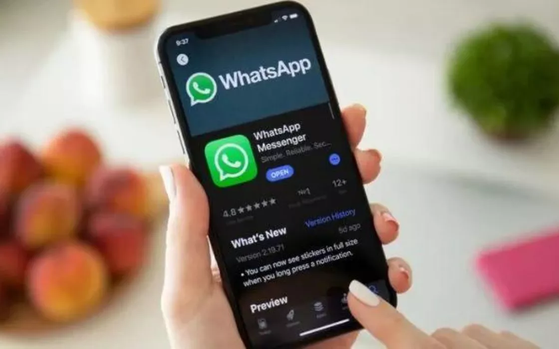 WhatsApp, un nuovo tool per la formattazione del testo