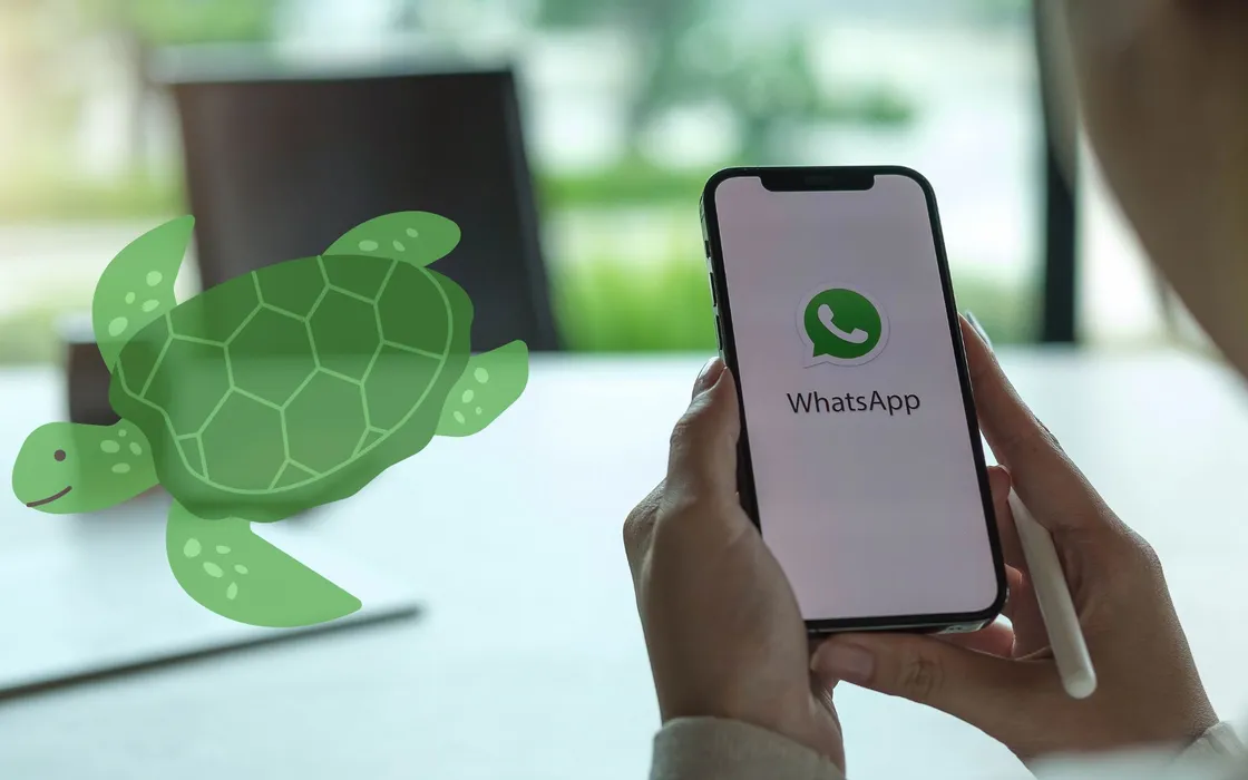 WhatsApp: cos'è la modalità tartaruga e cosa nasconde