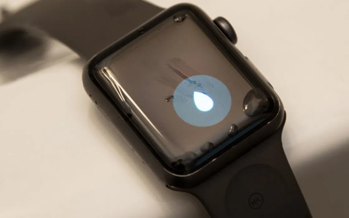 La straordinaria storia di un Apple Watch che funziona ancora dopo 18 mesi nell'oceano
