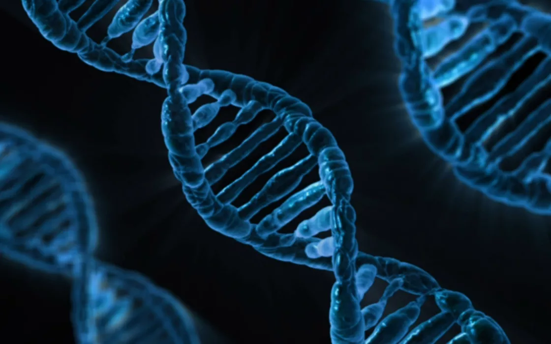 AlphaFold 3: la nuova IA di Google può modellare il DNA