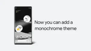 Android 14 - Temi monocromatici
