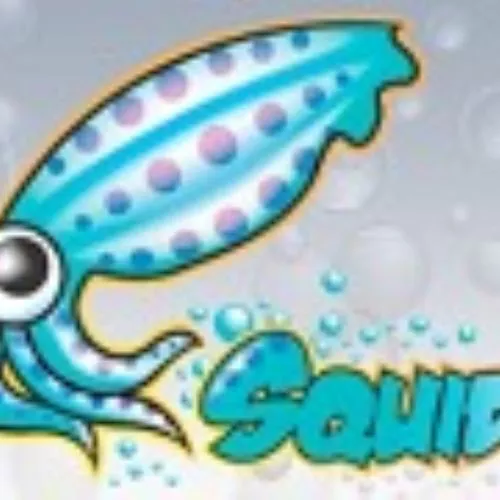 Bloccare siti con Squid: ecco come impedire l'accesso ai siti Internet in modo sicuro e centralizzato