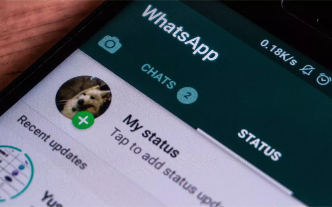 WhatsApp, l'aggiornamento per le anteprime degli stati è in distribuzione