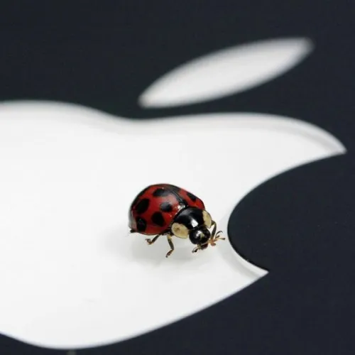 Cattura schermate in macOS attivabile anche da app malevole, che possono rubare password e altri dati
