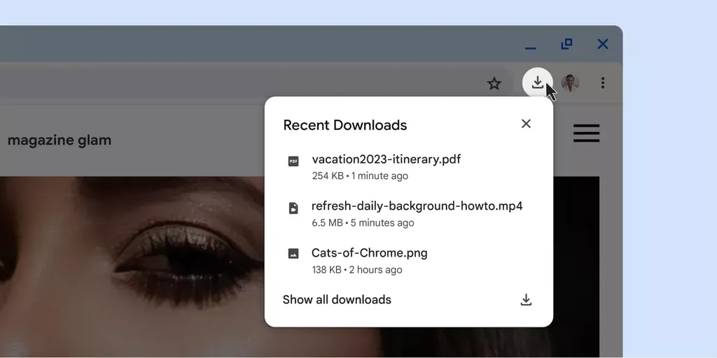Google Chrome - Download Tray