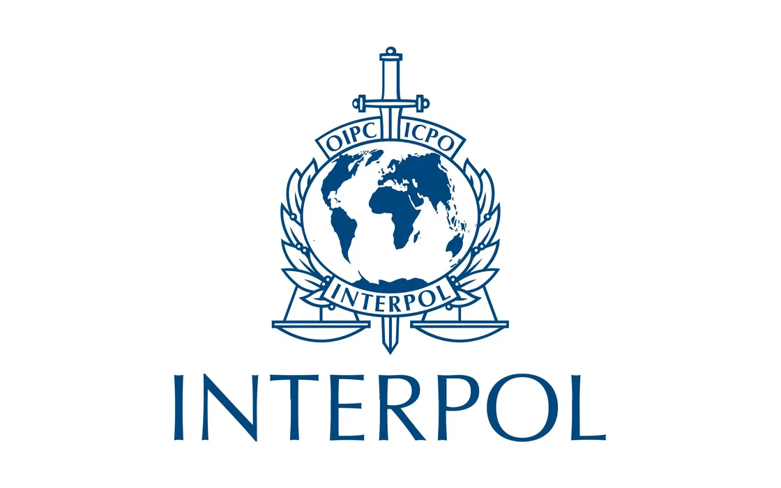 Allarme Interpol: casi di sextortion e ransomware in forte aumento