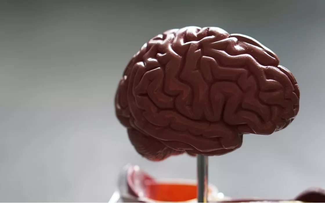 Cervello umano: quanti gigabyte o terabyte può memorizzare