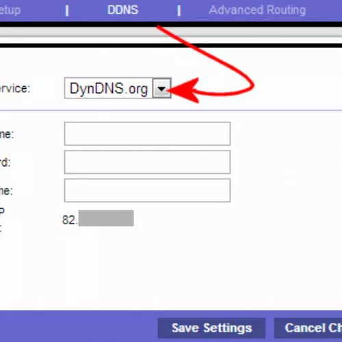 Creare un IP statico con DynDNS: si può ed è gratis