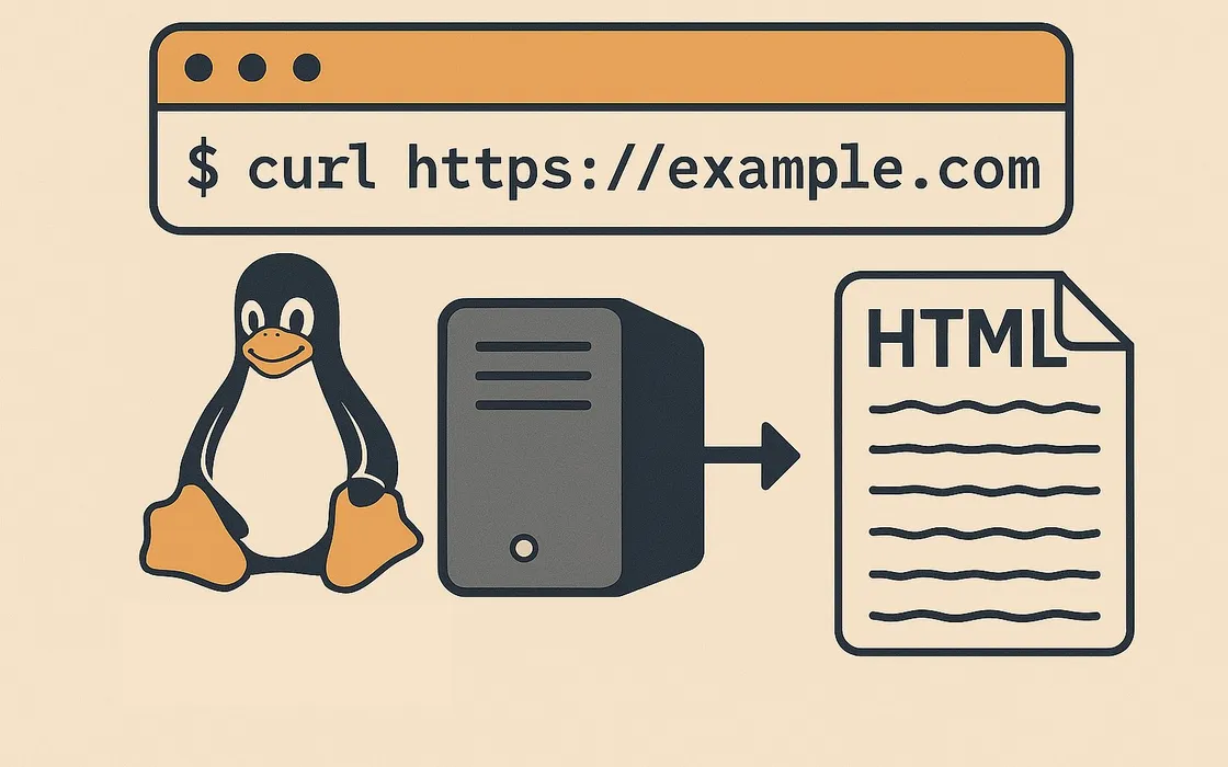 curl su Linux: guida completa per utenti curiosi e professionisti del terminale
