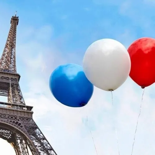 La Francia sottrae il dominio france.com a colui che l'aveva registrato dal 1994