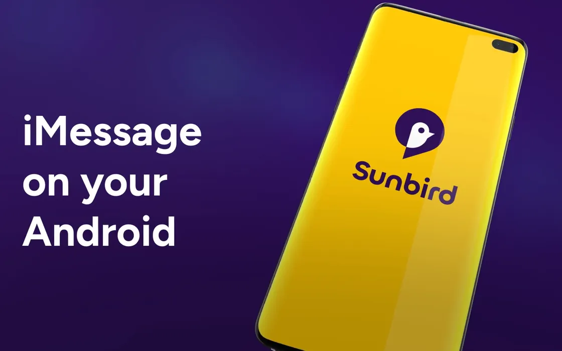 Sunbird come Nothing Chats: l'app non è sicura, rimossa dal Play Store