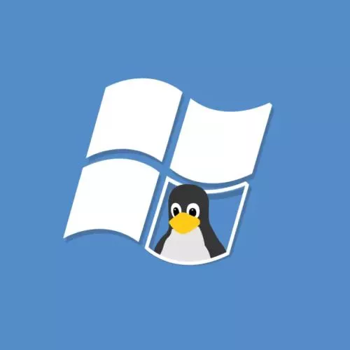 Windows 10, come esportare e riutilizzare le distribuzioni Linux con WSL