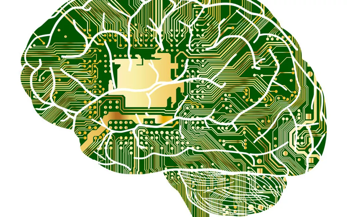 Imitare i processi di apprendimento del cervello umano con l'intelligenza artificiale: ecco lo studio tutto italiano