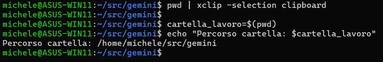 Comando pwd Linux: cos'è e quando usarlo | IlSoftware.it