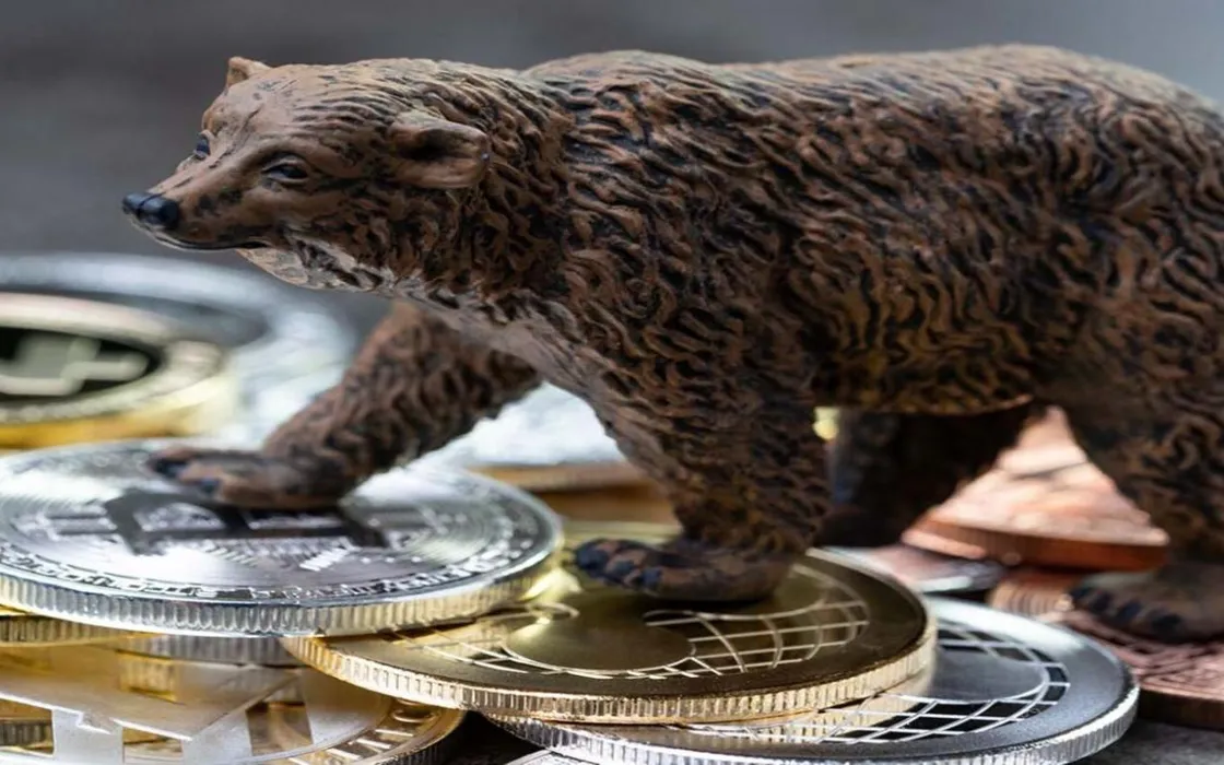 Le migliori crypto da comprare durante il bear market