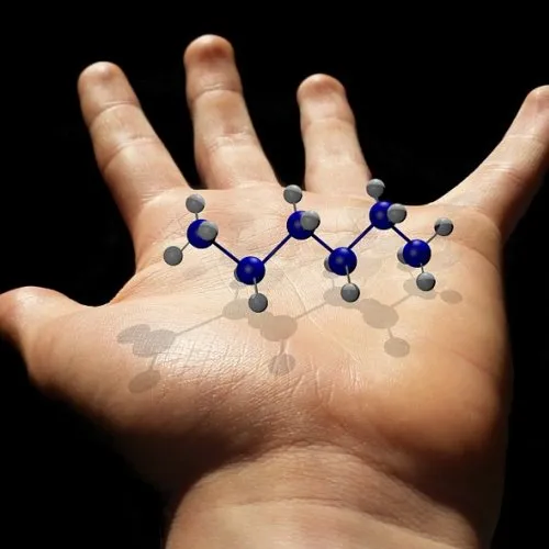 Possibile memorizzare dati anche nelle molecole alla base delle funzioni metaboliche