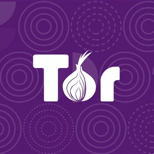 I problemi che si possono incontrare durante la navigazione con Tor Browser