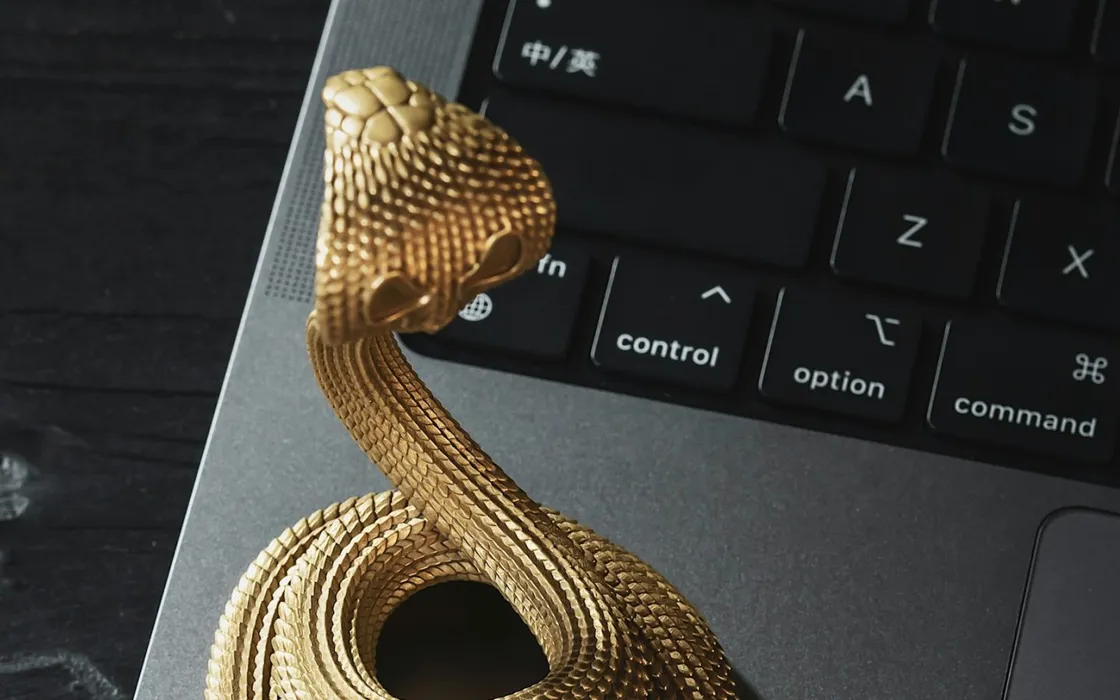 Sfida vinta: il gioco Snake sta in un codice QR e pesa solo 56 byte