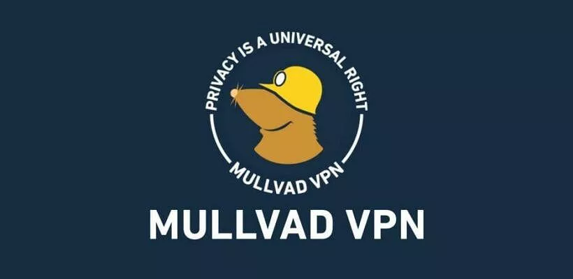 Mullvad: la VPN ora ha un motore di ricerca integrato