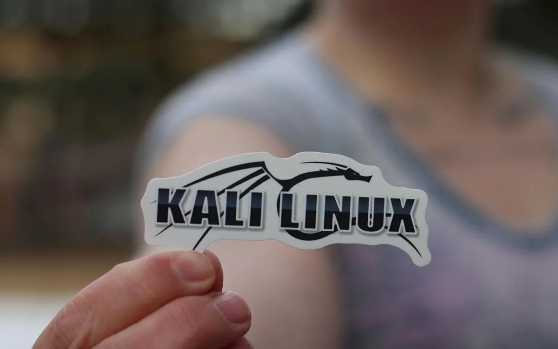 Kali Linux 2024.4 ufficiale con kernel Linux 6.11, GNOME 47