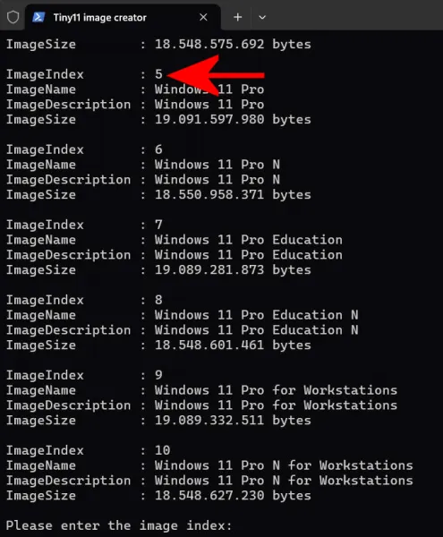 Tiny 11 Download dello script per alleggerire Windows 11 senza rischi ...
