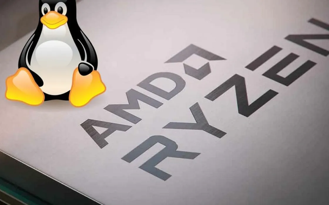 fTPM AMD: problemi con Linux dopo le difficoltà rilevate su Windows 10 e 11