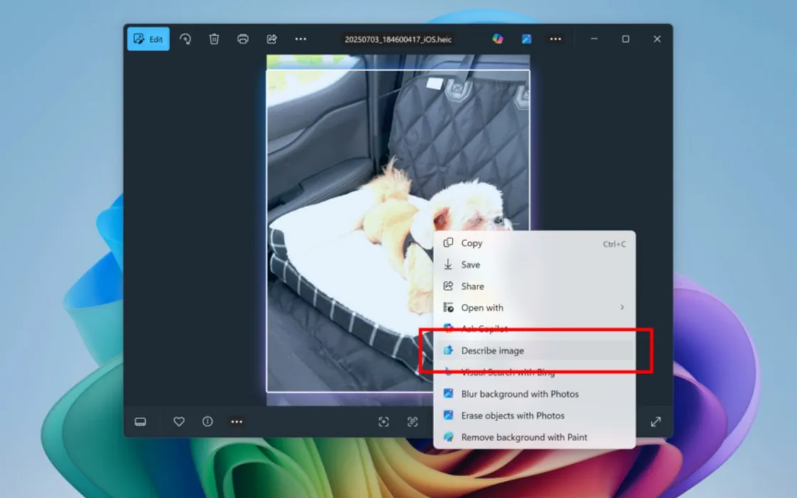 Windows 11 spinge sull’AI locale: ecco la funzione Click To Do