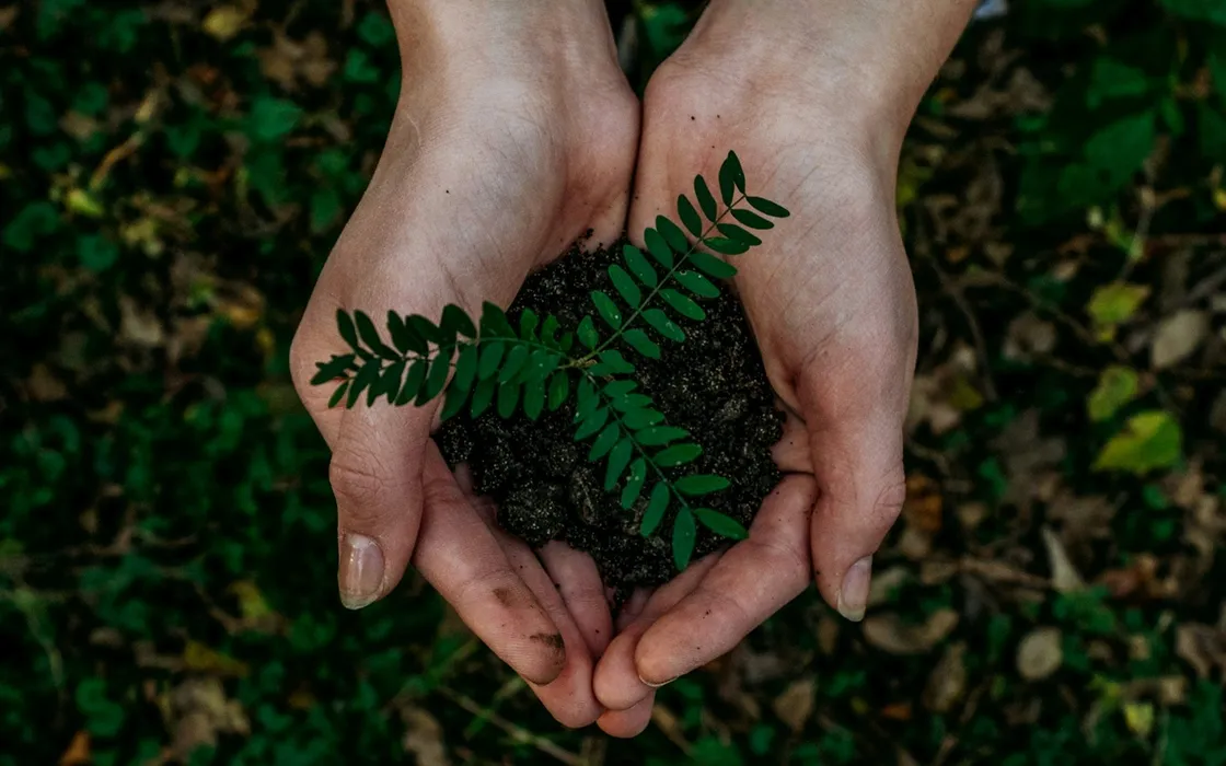 Scopri quanto puoi risparmiare con Sorgenia: energia green e fibra ultraveloce