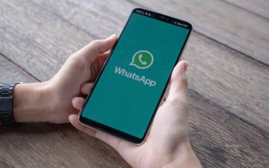 WhatsApp, Meta porta la spunta blu nell'app di messaggistica