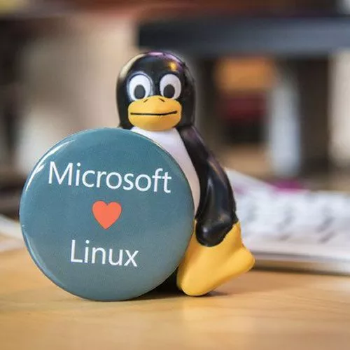 Microsoft rilascia uno strumento per portare in Windows qualunque distribuzione Linux
