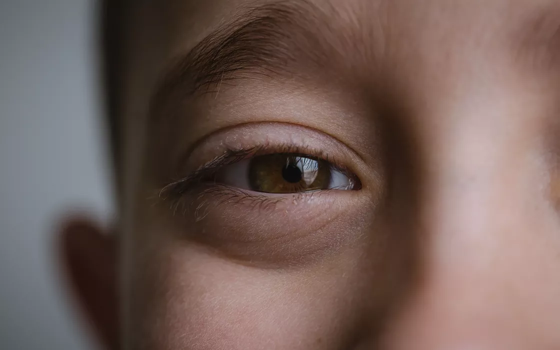 Modello IA determina al 100% se un bambino è autistico da foto della retina