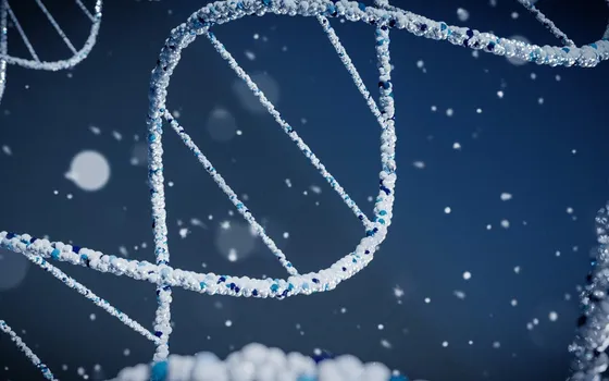 Filamenti di DNA per leggere e scrivere dati: ampliato l'alfabeto per ottenere possibilità di storage infinite