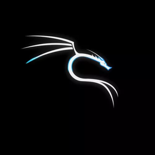 Kali Linux cambia look e può trasformarsi in Windows 10