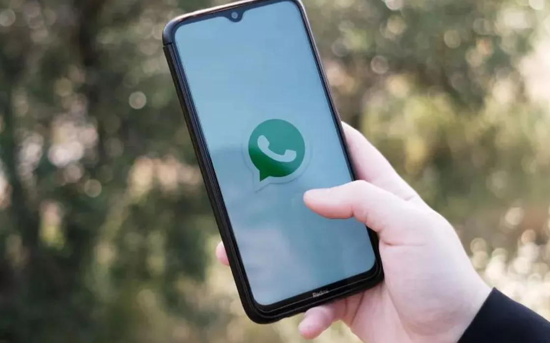 WhatsApp, nuovo aggiornamento per gli stati e per chattare con utenti nuovi