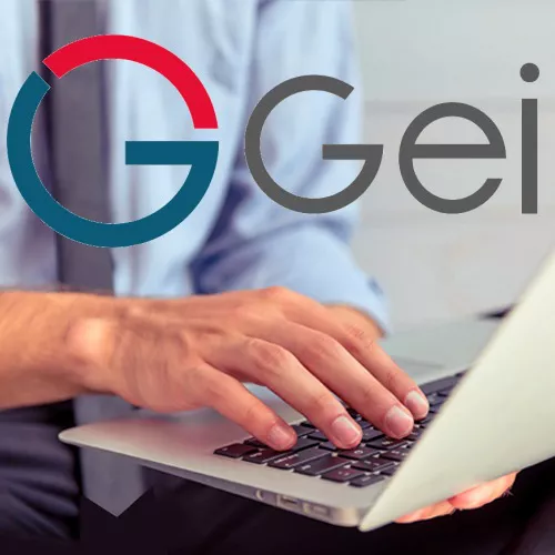 Gei Software, gestionale per imprese e professionisti