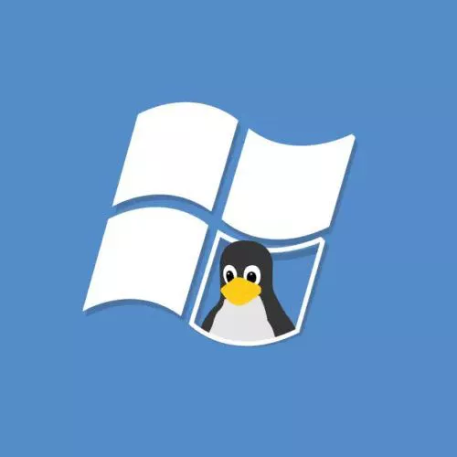 WSL 2, creare in Windows 10 un collegamento ai programmi Linux