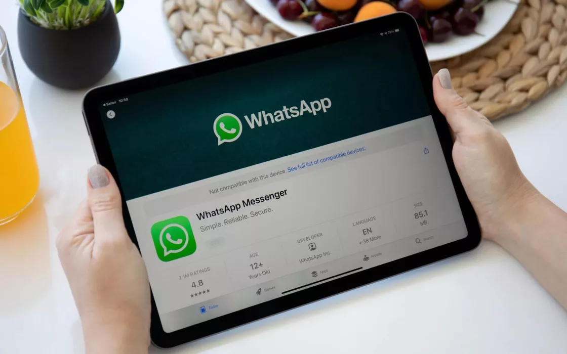 WhatsApp, in arrivo il collegamento per iPad