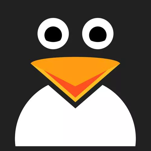 Check Point individua e risolve un problema di sicurezza in Linux vecchio di 20 anni