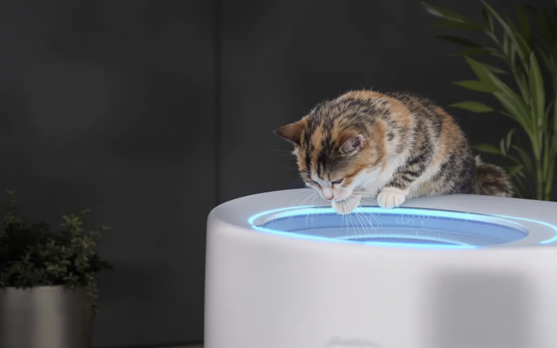 Arriva sul mercato lettiera smart con AI per monitorare la salute dei gatti