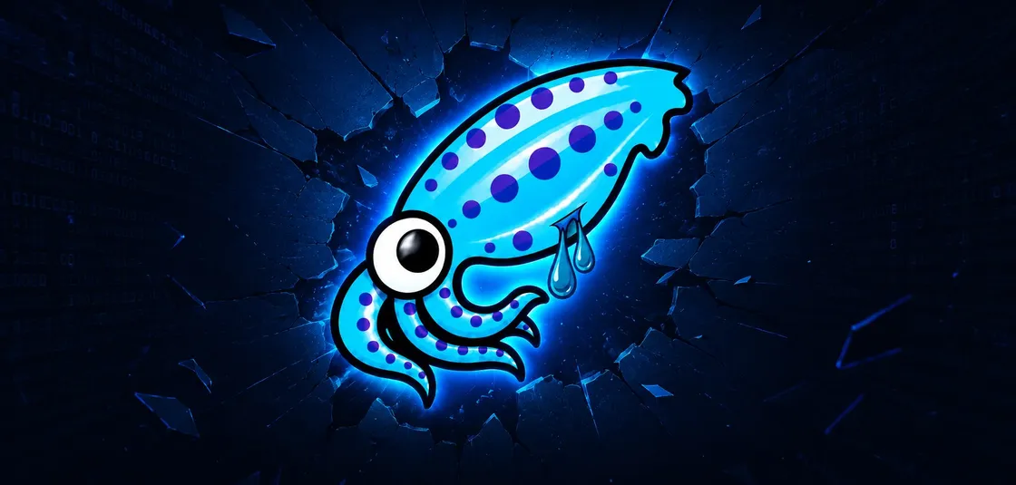 Squidbleed: falla di sicurezza rimasta nascosta in Squid Proxy per quasi 30 anni