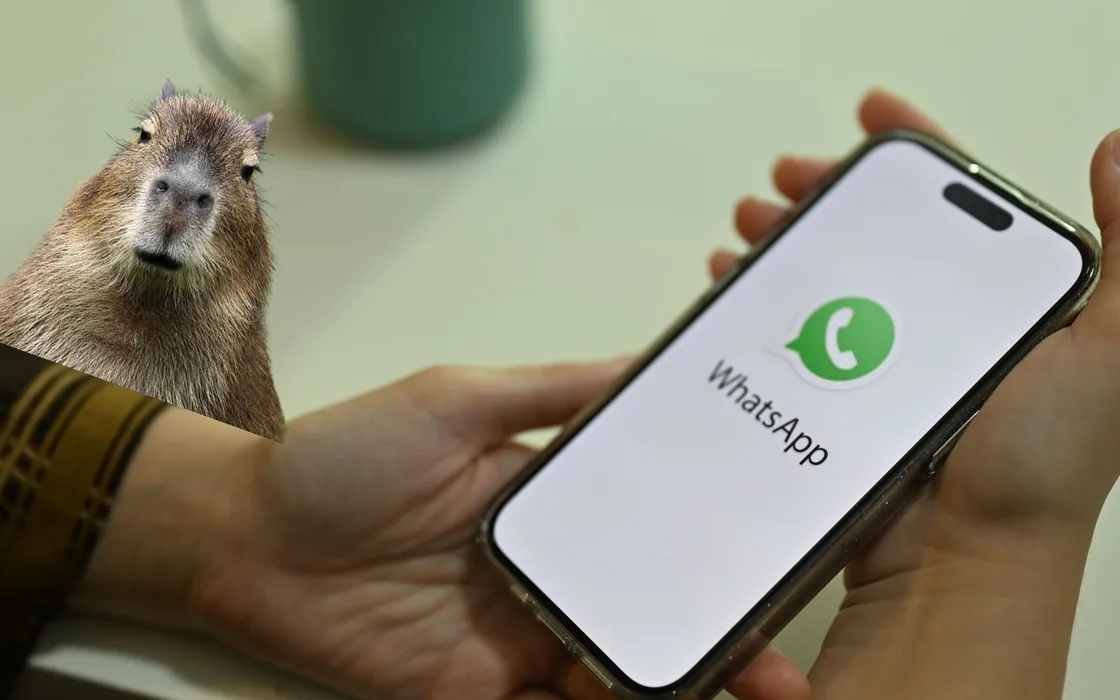 WhatsApp: arriva la 