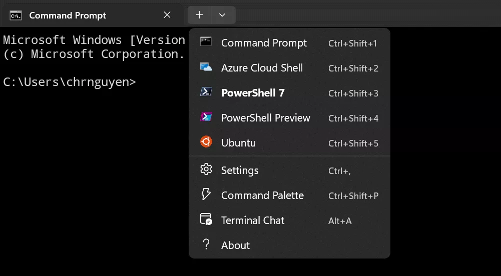 Terminal Chat: un chatbot simile a ChatGPT nella finestra del terminale di Windows 11