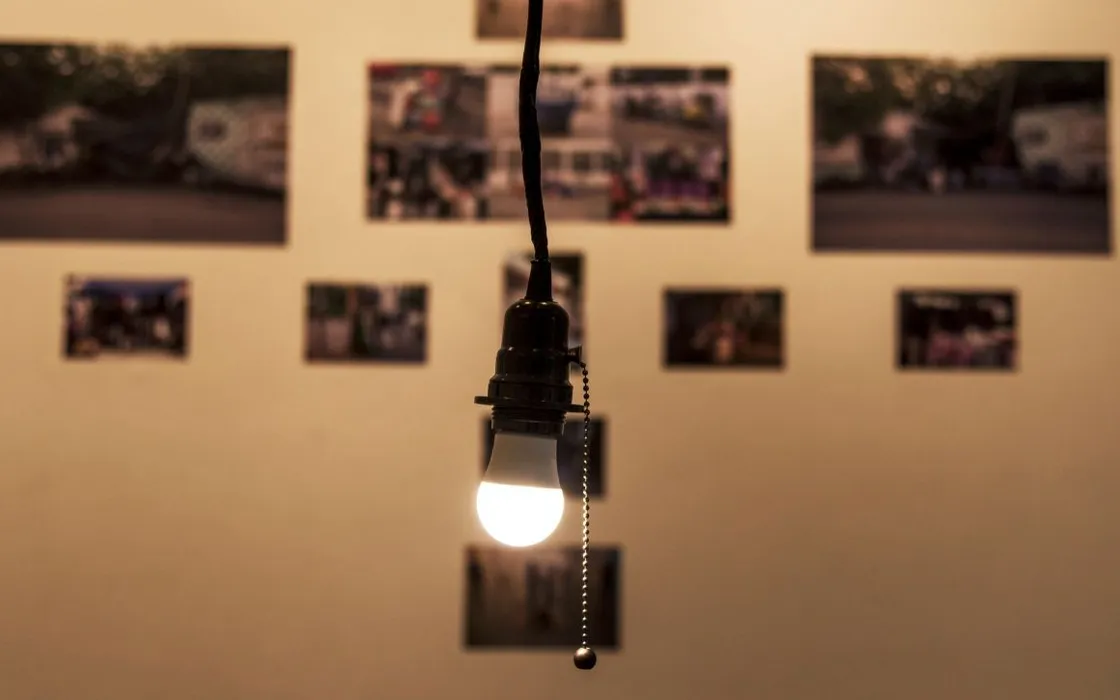 Octopus svela le tariffe luce e gas a prezzo fisso valide fino al 15 aprile