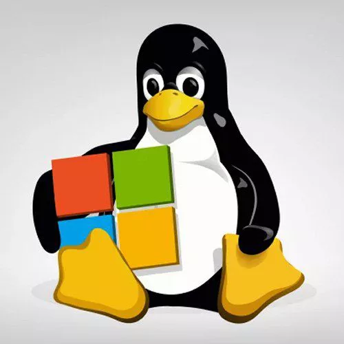 Backup, esportazione e importazione delle distribuzioni Linux in Windows 10